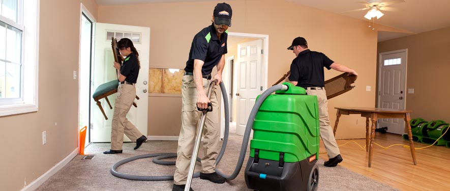 Catonsville, MD cleaning services